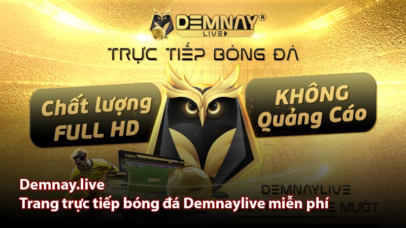 Giới thiệu Demnay.live - Trang trực tiếp bóng đá Demnaylive miễn phí