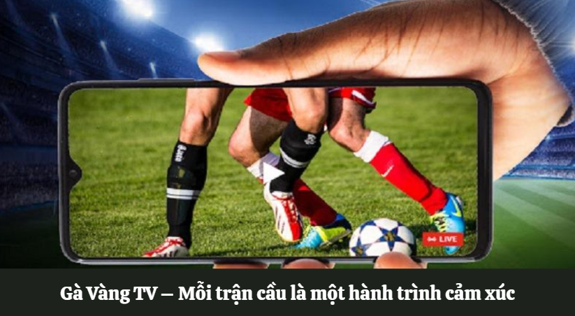 Gà Vàng TV – Trực tiếp bóng đá full HD, không cần đăng ký 3 Gà Vàng TV – Mỗi trận cầu là một hành trình cảm xúc
