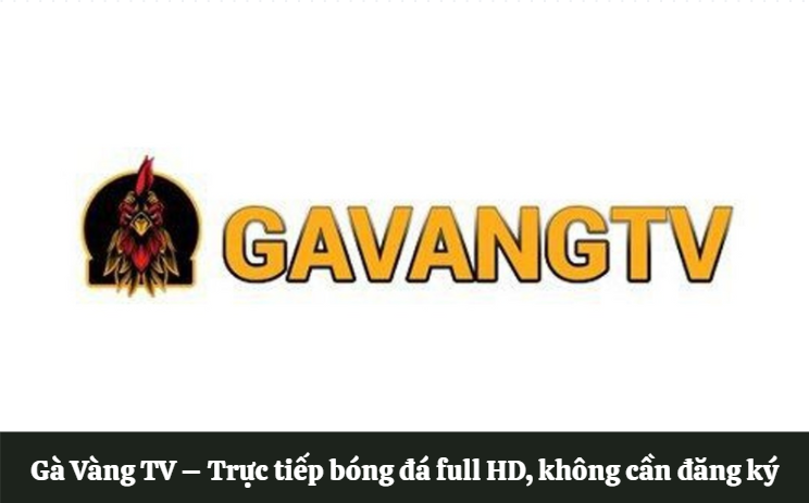 Gà Vàng TV – Trực tiếp bóng đá full HD, không cần đăng ký 2 Ga Vang TV